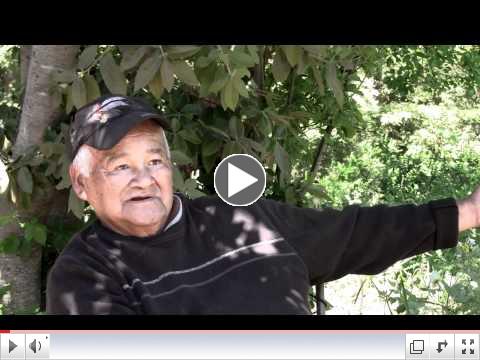 Lorin Smith, Kashaya Pomo Elder: Interview Highlights