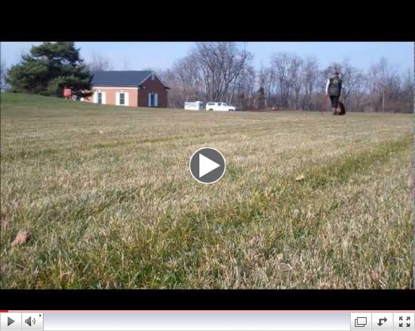 Chewbacca Tracking Training