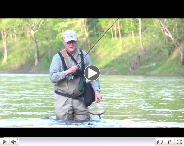 Gill Learn On Pine and a Dry Fly Trout