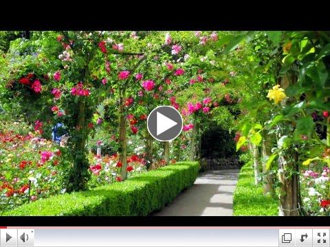 Most beautiful garden. Canada.
