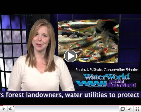 WaterWorld Weekly - Sept. 3, 2013
