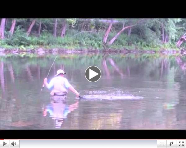Scott Yoder and a Pine Creek Butter-Sided Brown Sept. 10, 2014