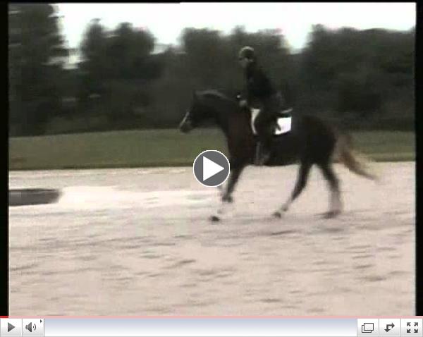 Falling Moon Manhattan Website