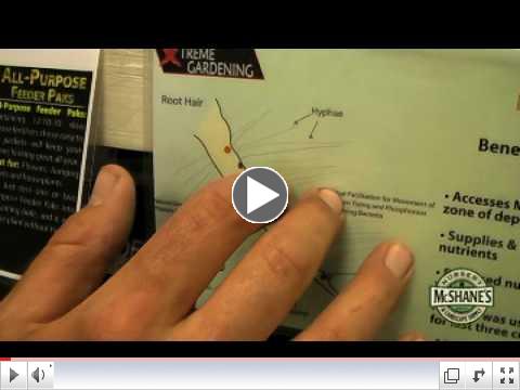 How Mycorrhizae Can Improve Plant Quality