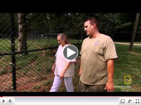 Lion and Tiger and Bear Oh My!