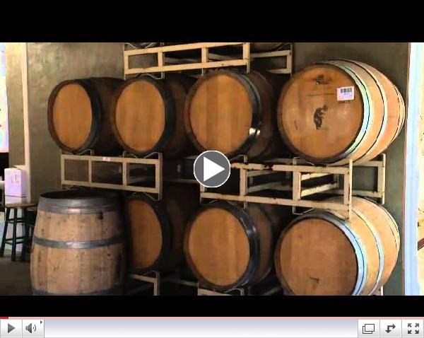 Postcards: The Art of Minnesota Winemaking