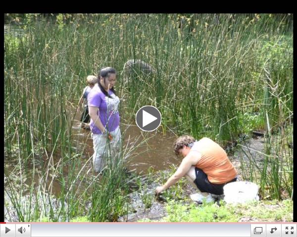Watch a slideshow about the East Lake Restoration Project