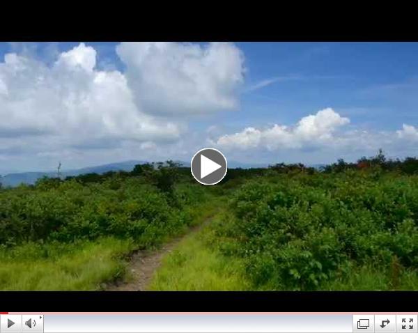 Go High in July to Gregory Bald