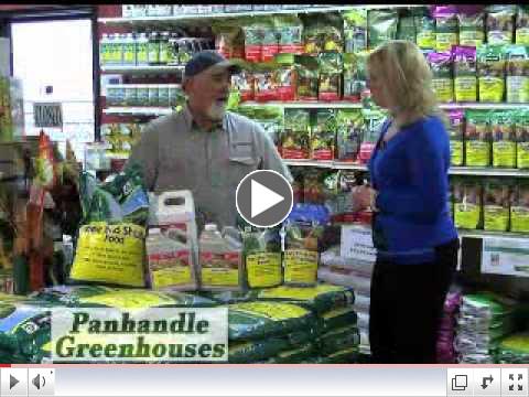 Panhandle Greenhouses Weather Garden Tree and Shrubs