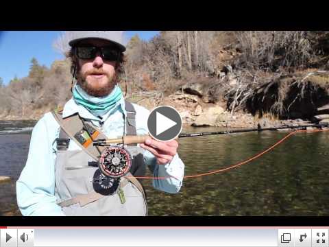 Ross Evolution R Field Test