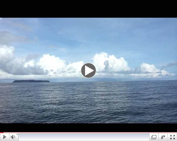 Humpback whale fin slapping at Cano Island, Osa Peninsula