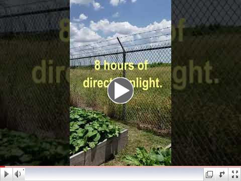 Green Thumb At 60 - Video #2 - Placing Raised Beds