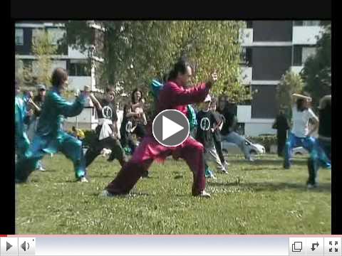 WORLD TAI CHI AND QI GONG DAY 2009