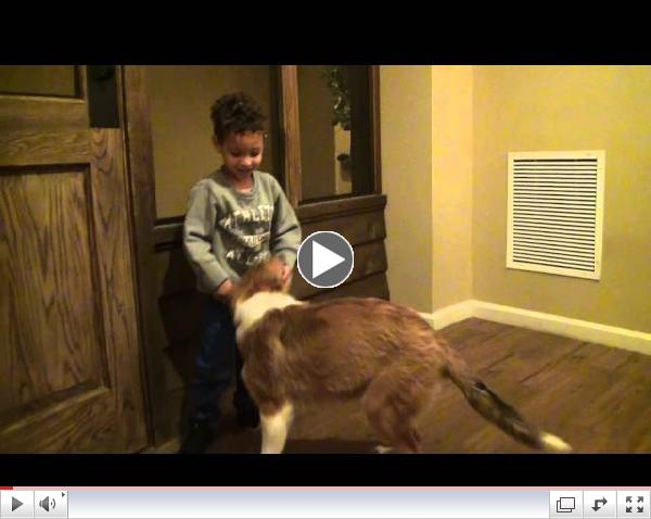 Stuart Lodge Assisted Living Puppy Training Update