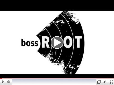 BOSS RIOT 