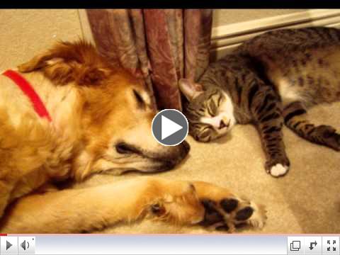 Vibrational Meditations with Mentor--Balancing