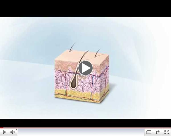 SkinCeuticals Presents: UV Damage & Sun Protection