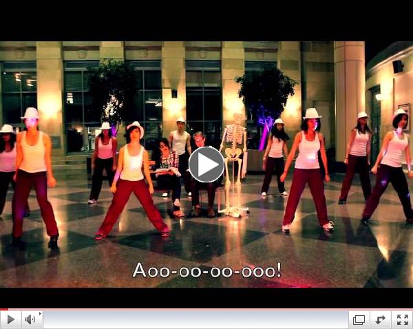 What Does the Spleen Do? ft. Harvard Medical School