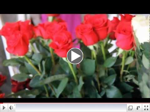 Local and Holland roses for delivery in Ukraine