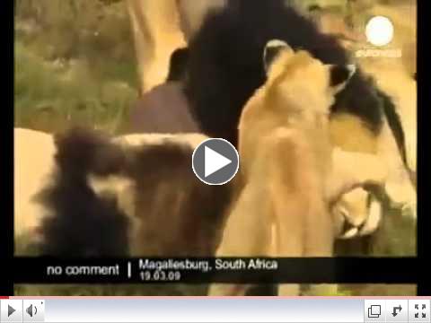 Facebook Videos publicados por Jean Pierre Dobrenn Deux n Sans e  4 de junho de 2010 21 522