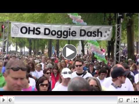 2012 Doggie Dash