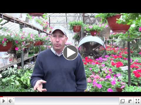 I Shop Morton Johnson's Floral