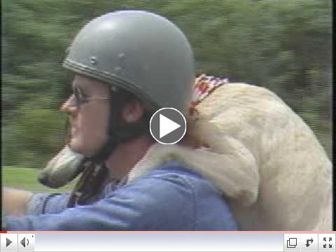 Carolina Camera: The Original Motorcycle Dog