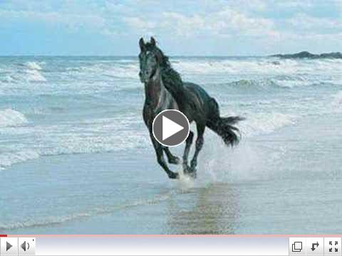 Wildfire- Michael Martin Murphey