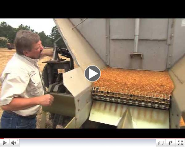 Rain Helps, Hinders South Georgia Farm Operations