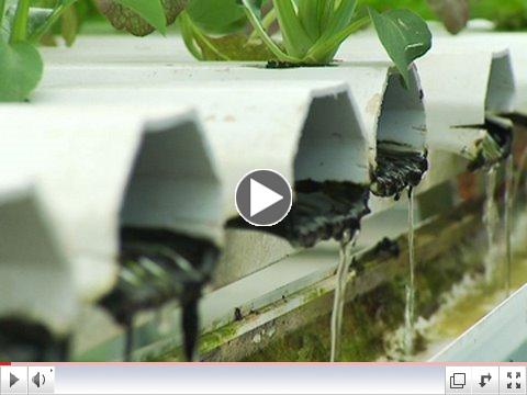 GOOD: The Science Barge--Bringing Sustainable Ag to Cities 