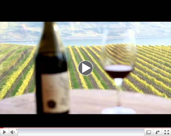 A Glimpse of Maryhill Winery