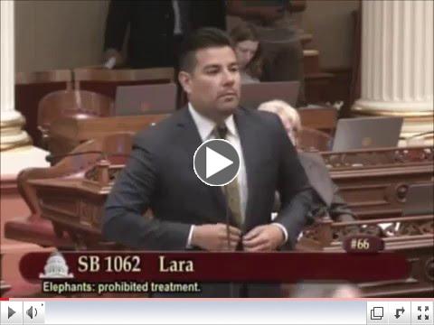Senate Votes 29-9 To Pass SB 1062