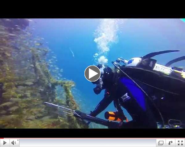 Mitchell Wreck Dive 3-2014