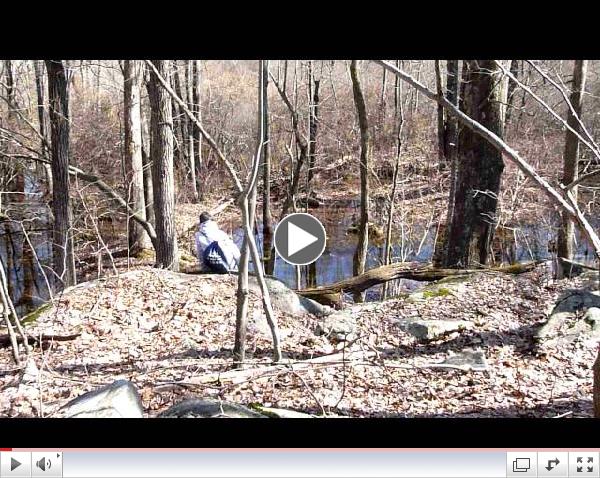 Enjoying the Wood Frog Chorus.MOV