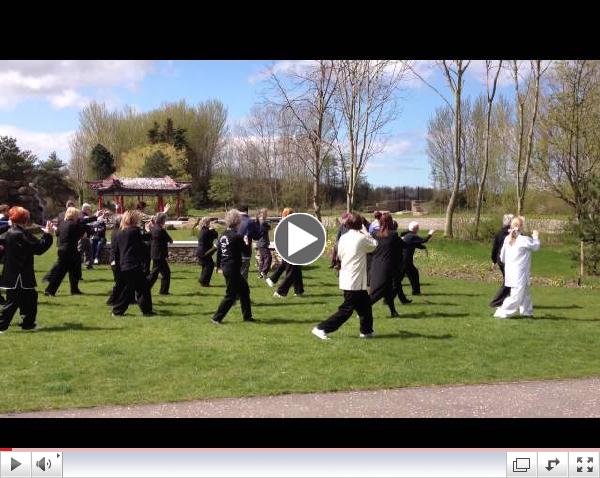 World Tai Chi & Qigong Day 2013