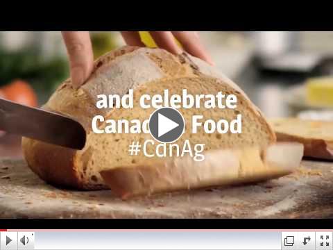 Celebrate Canadian Families on February 13th 