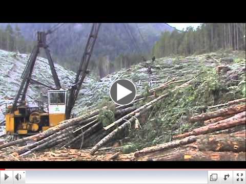 Cable harvesting system - private forest land