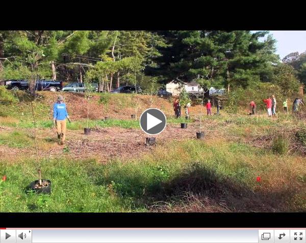 Angle Fly Reserve: Trees for Tribs planting, October 2012