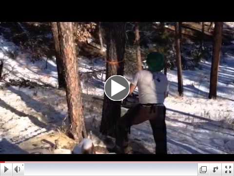 FallingVideo