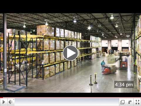 Scouting for Food - Time Lapse Photography