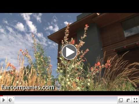 Xeriscaping: native plants and a drought-tolerant yard (LEED landscape in Sun Valley, Idaho)