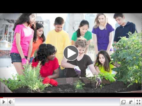 Introduction - Vulnerability 2030 Scenario Toolkit