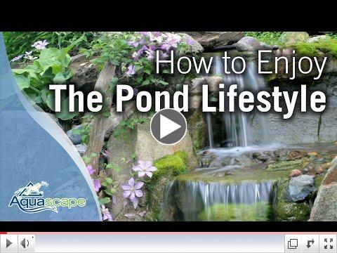How to Enjoy the Pond Lifestyle