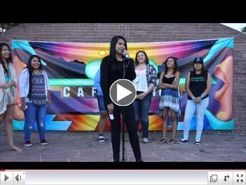 Videos from July 2015 Art in the Park 