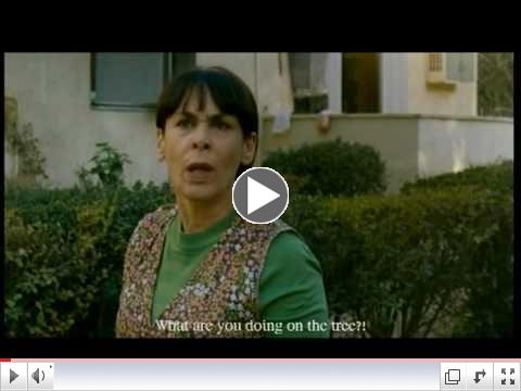 Intimate Grammar Trailer