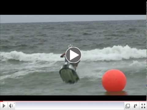 UWP-IJSBA National Tour - Panama City Beach, FL promo
