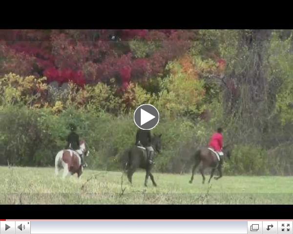 Smithtown Hunt, Opening Day 2013. An Artist's View