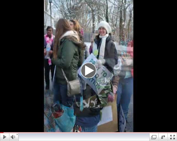 Diocesan Youth March for Life January 2013