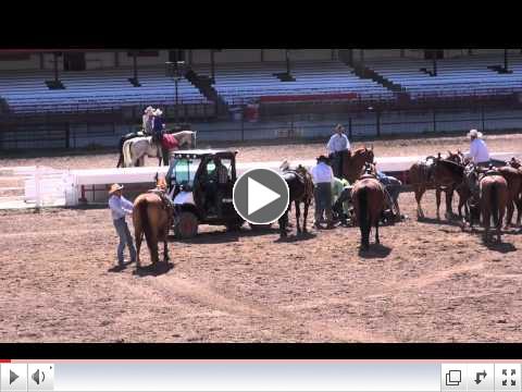Steer Injured at 2012 Cheyenne Rodeo