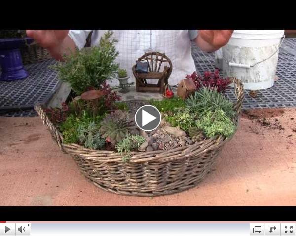 Planting a Miniature Garden Container